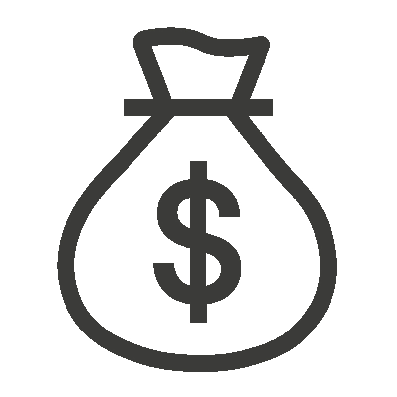 syf_icons_money_bag_rgb_chr.jpg